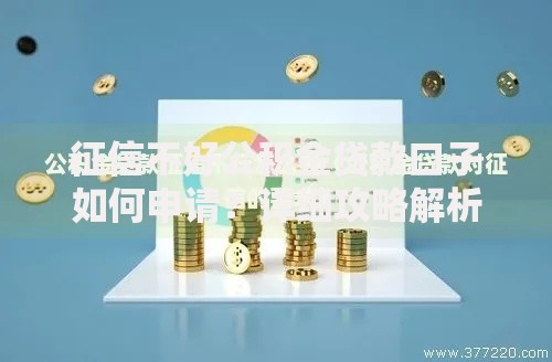 征信不好公积金贷款口子如何申请？详细攻略解析