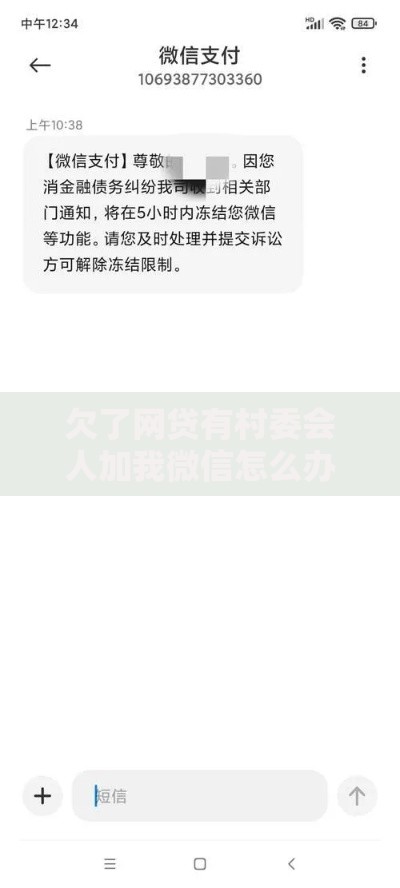 欠了网贷有村委会人加我微信怎么办？真相解析与应对策略