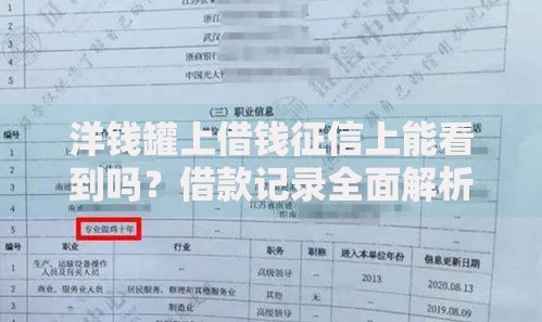洋钱罐上借钱征信上能看到吗？借款记录全面解析