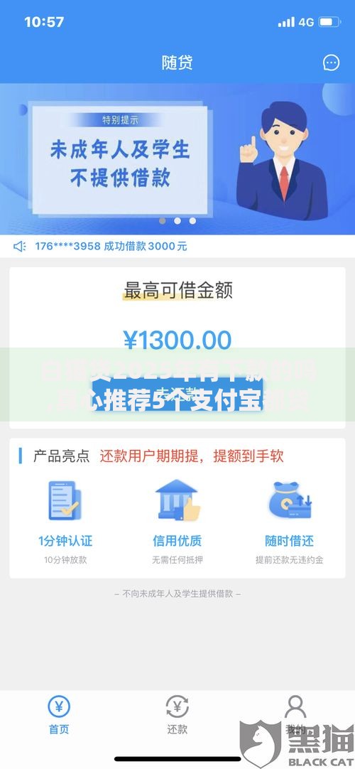 白猫贷2025年有下款的吗,真心推荐5个支付宝都贷款平台