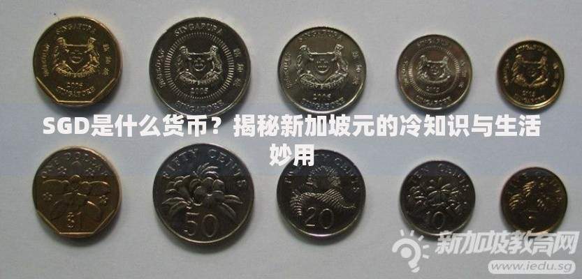 SGD是什么货币？揭秘新加坡元的冷知识与生活妙用