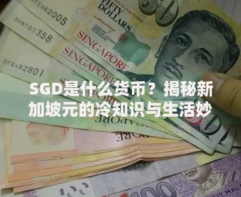SGD是什么货币？揭秘新加坡元的冷知识与生活妙用