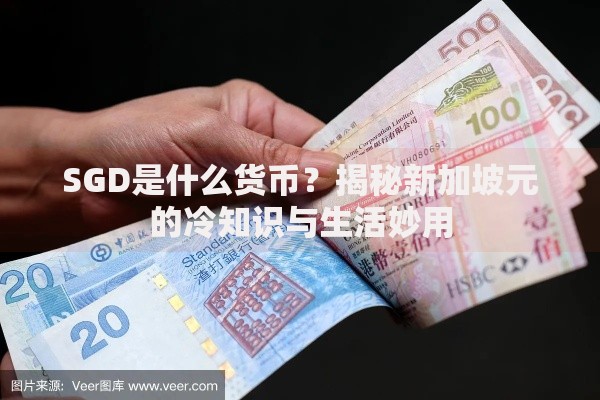 SGD是什么货币？揭秘新加坡元的冷知识与生活妙用