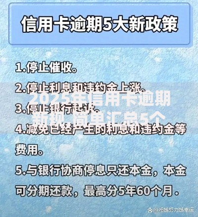 2025年信用卡逾期新规,简单汇总5个贷款软件不看征信