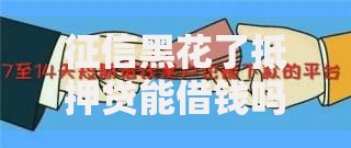 征信黑花了抵押贷能借钱吗？深度解析黑户贷款条件及风险