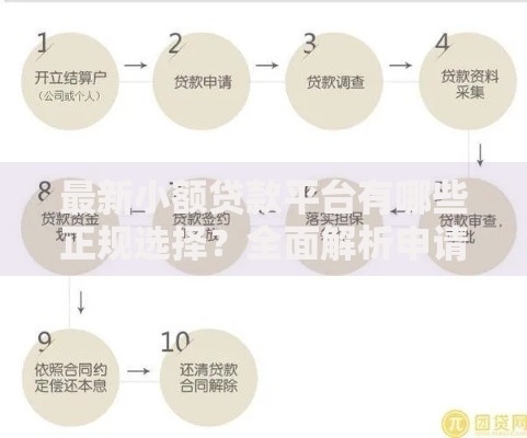最新小额贷款平台有哪些正规选择？全面解析申请流程与注意事项