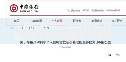 黑户借款平台是真的吗,隆重介绍5个征信是花户平台可以借钱不
