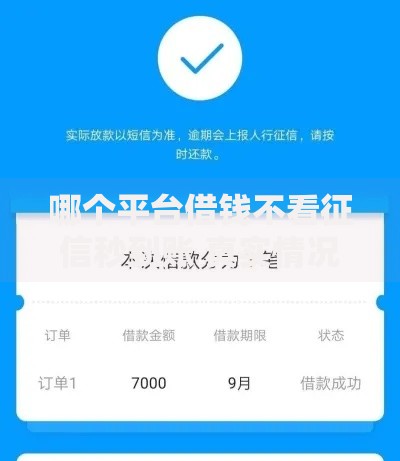 哪个平台借钱不看征信秒到账 真实情况深度解析