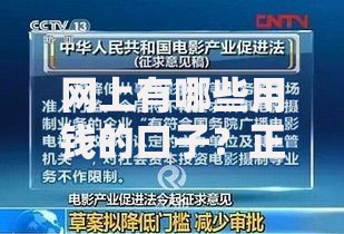 网上有哪些用钱的口子？正规借贷渠道深度解析