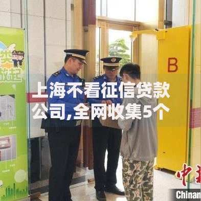 上海不看征信贷款公司,全网收集5个网贷平台容易通过并安全借到款