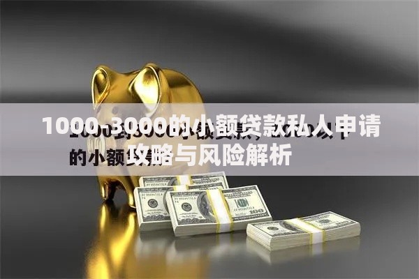 1000-3000的小额贷款私人申请攻略与风险解析
