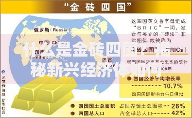 什么是金砖四国？揭秘新兴经济体如何改变世界格局