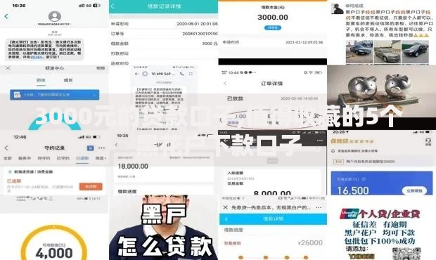 3000元的贷款口子,值得收藏的5个黑花户下款口子