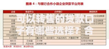可以转售的贷款口子有哪些选择？合规流程与风险解析