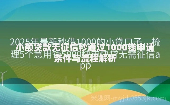 小额贷款无征信秒通过1000钱申请条件与流程解析