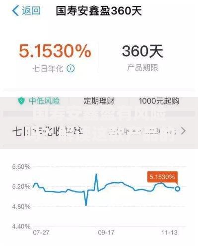 国寿安鑫盈有风险吗？解读这款产品的安全性及注意事项