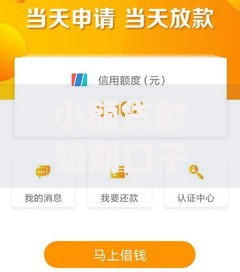 小额贷款短期口子如何申请？申请条件与风险解析