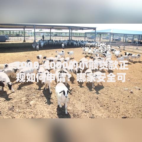 1000-3000的小额贷款正规如何申请？哪家安全可靠？