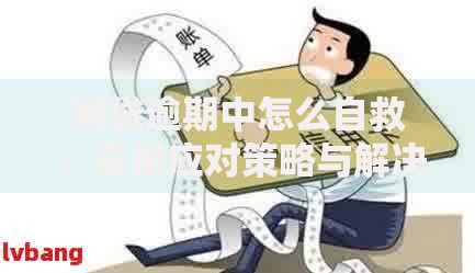 网贷逾期中怎么自救：实用应对策略与解决方案
