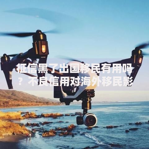 征信黑了出国移民有用吗？不良信用对海外移民影响与解决方案