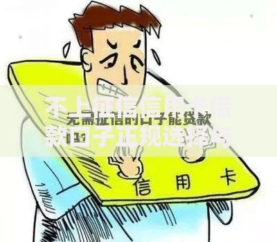 不上征信信用卡借款口子正规选择与风险解析
