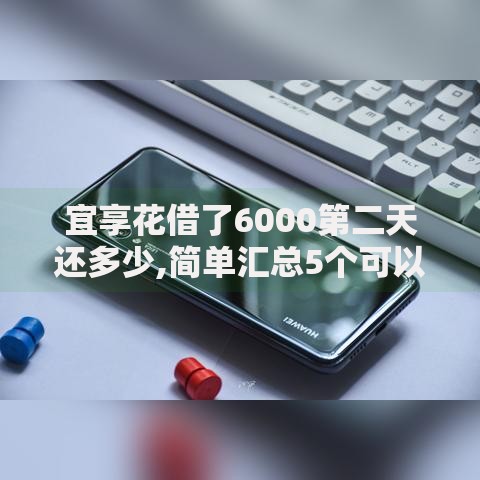 宜享花借了6000第二天还多少,简单汇总5个可以借1000的平台秒下款