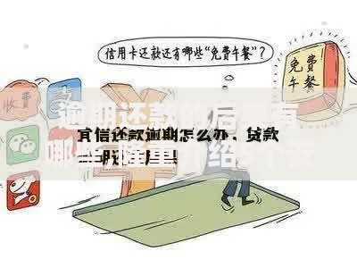 逾期还款的后果有哪些,隆重介绍5个安全的贷款平台