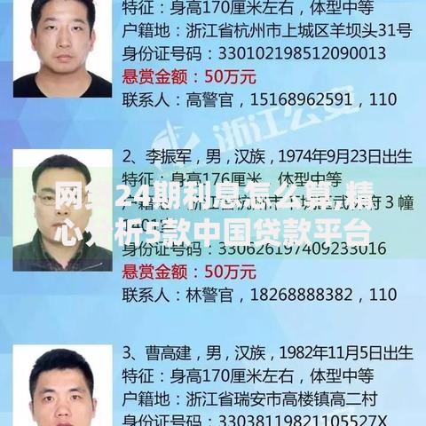 网贷24期利息怎么算,精心分析5款中国贷款平台