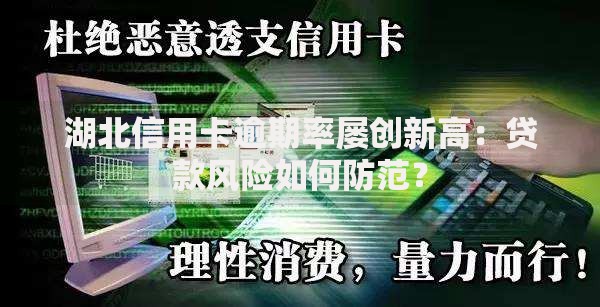 湖北信用卡逾期率屡创新高：贷款风险如何防范？