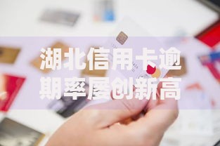 湖北信用卡逾期率屡创新高：贷款风险如何防范？