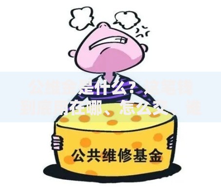 公维金是什么？这笔钱到底用在哪、怎么交、谁来管