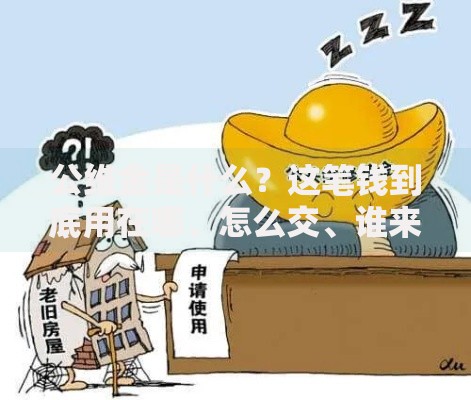 公维金是什么？这笔钱到底用在哪、怎么交、谁来管