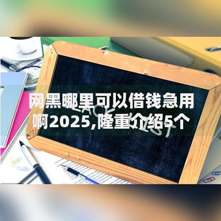 网黑哪里可以借钱急用啊2025,隆重介绍5个有没有不看征信的平台借钱