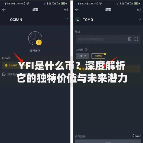 YFI是什么币？深度解析它的独特价值与未来潜力
