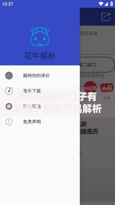 牛花花系列口子有哪些？最新产品解析与申请指南
