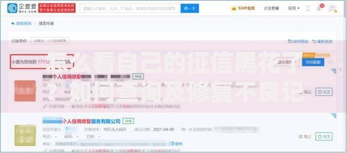 怎么看自己的征信黑花了？如何查询及修复不良记录？