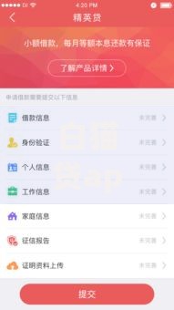 白猫贷app正规从哪里找？如何判断正规性及安全渠道