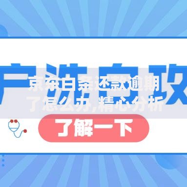 京东白条还款逾期了怎么办,精心分析5款黑户网贷借款平台