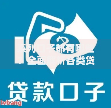系列口子都有哪些？全面解析各类贷款产品及申请攻略
