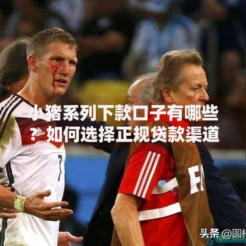 小猪系列下款口子有哪些？如何选择正规贷款渠道