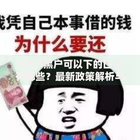 2025黑户可以下的口子有哪些？最新政策解析与申请攻略