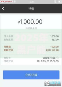 2025年黑户能下款的口子,简单汇总5个贷款好贷的平台