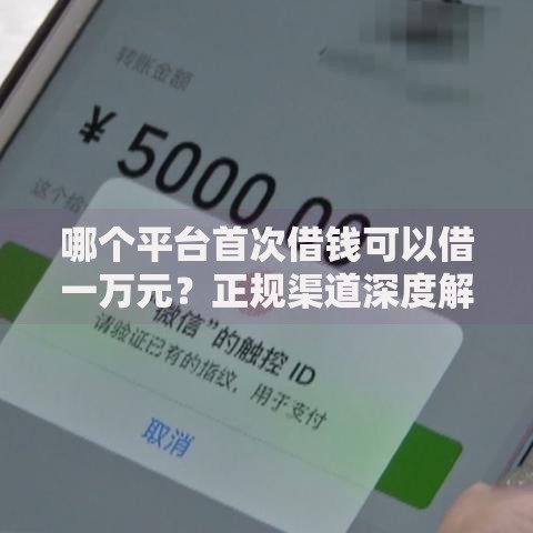 哪个平台首次借钱可以借一万元？正规渠道深度解析