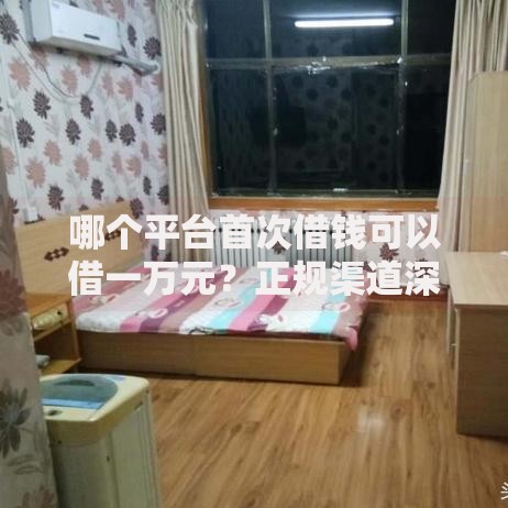 哪个平台首次借钱可以借一万元？正规渠道深度解析