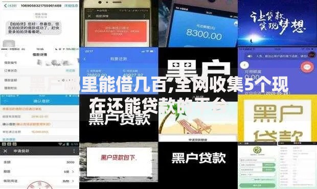 黑户哪里能借几百,全网收集5个现在还能贷款的平台