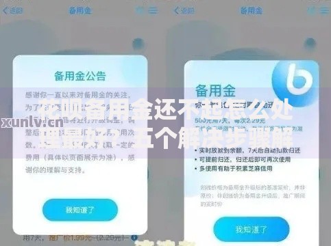 花呗备用金还不起怎么处理最好？五个解决步骤解析