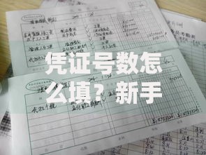 凭证号数怎么填？新手必看的填写技巧与常见误区解析