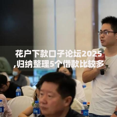 花户下款口子论坛2025,归纳整理5个借款比较多好贷款的平台呢