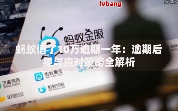 蚂蚁借了10万逾期一年：逾期后果与应对策略全解析