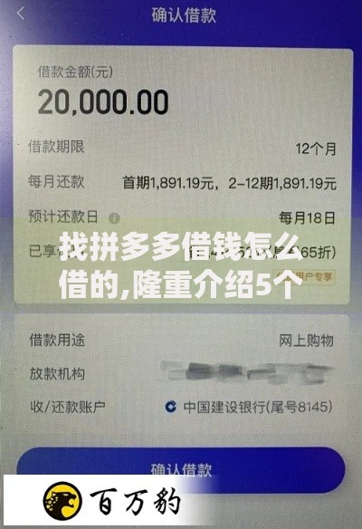 找拼多多借钱怎么借的,隆重介绍5个有没有好的贷款平台